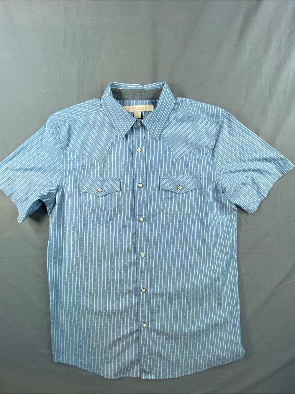 Cody James Striped Short-Sleeve Casual Button-Down Shirt in Light Blue